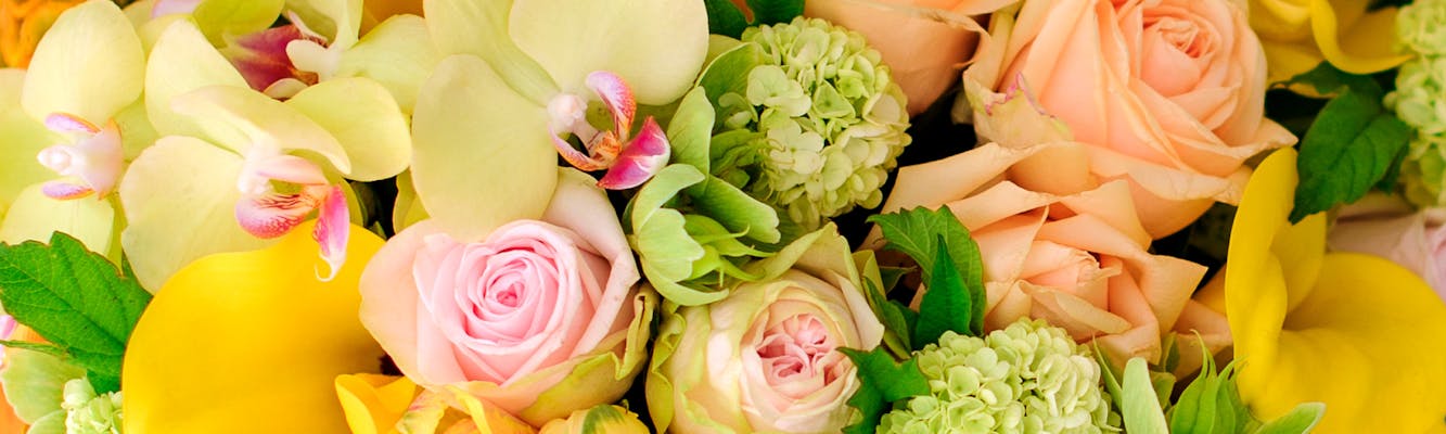 houston florist same day
