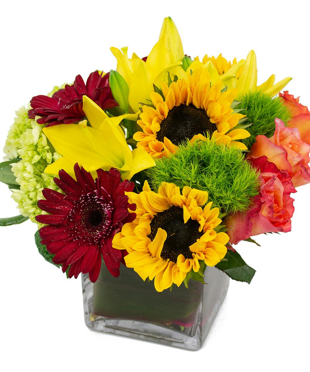 Sun Kissed Houston Florist Summer Flowers