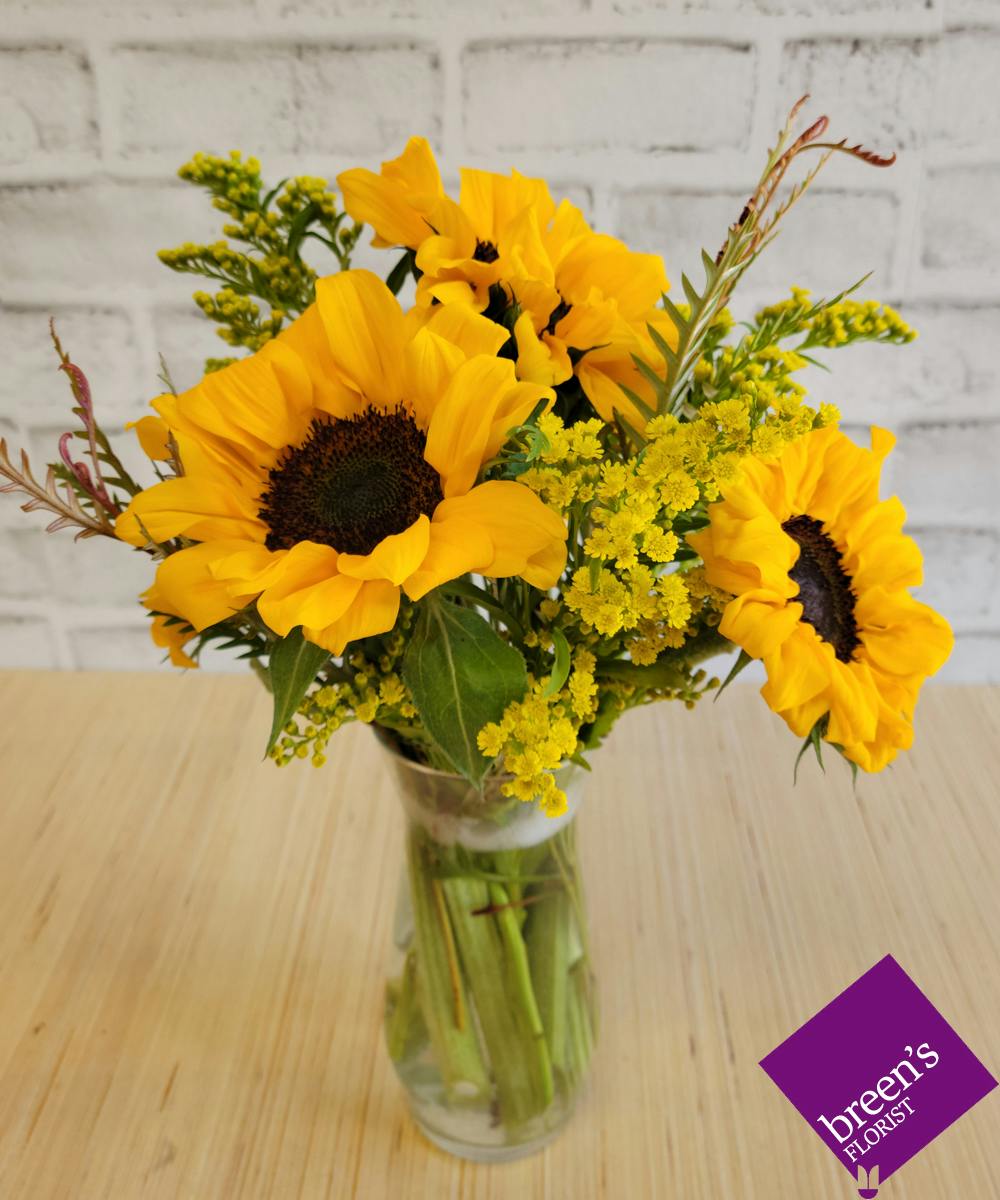 SIMPLY SUNFLOWERS Houston (TX) Flower Delivery Breen's Florist