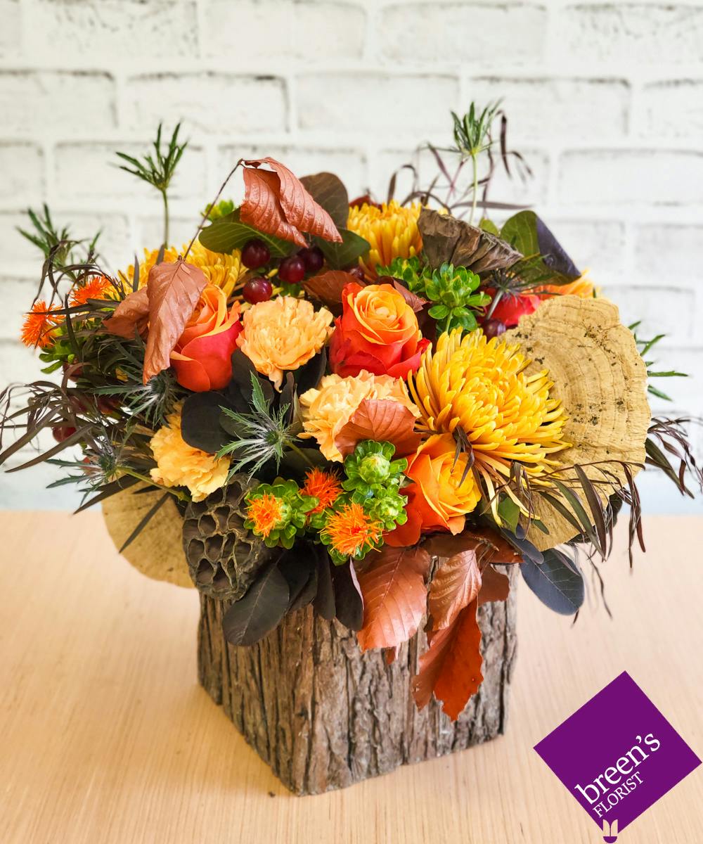 ROMANCE OF THE FOREST Houston (TX) SameDay Flower Delivery Breen's