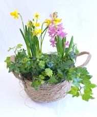 Blooming Basket Garden