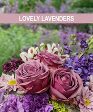 BEST VALUE - Lovely Lavenders