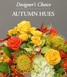 Designer's Choice - Autumn Hues