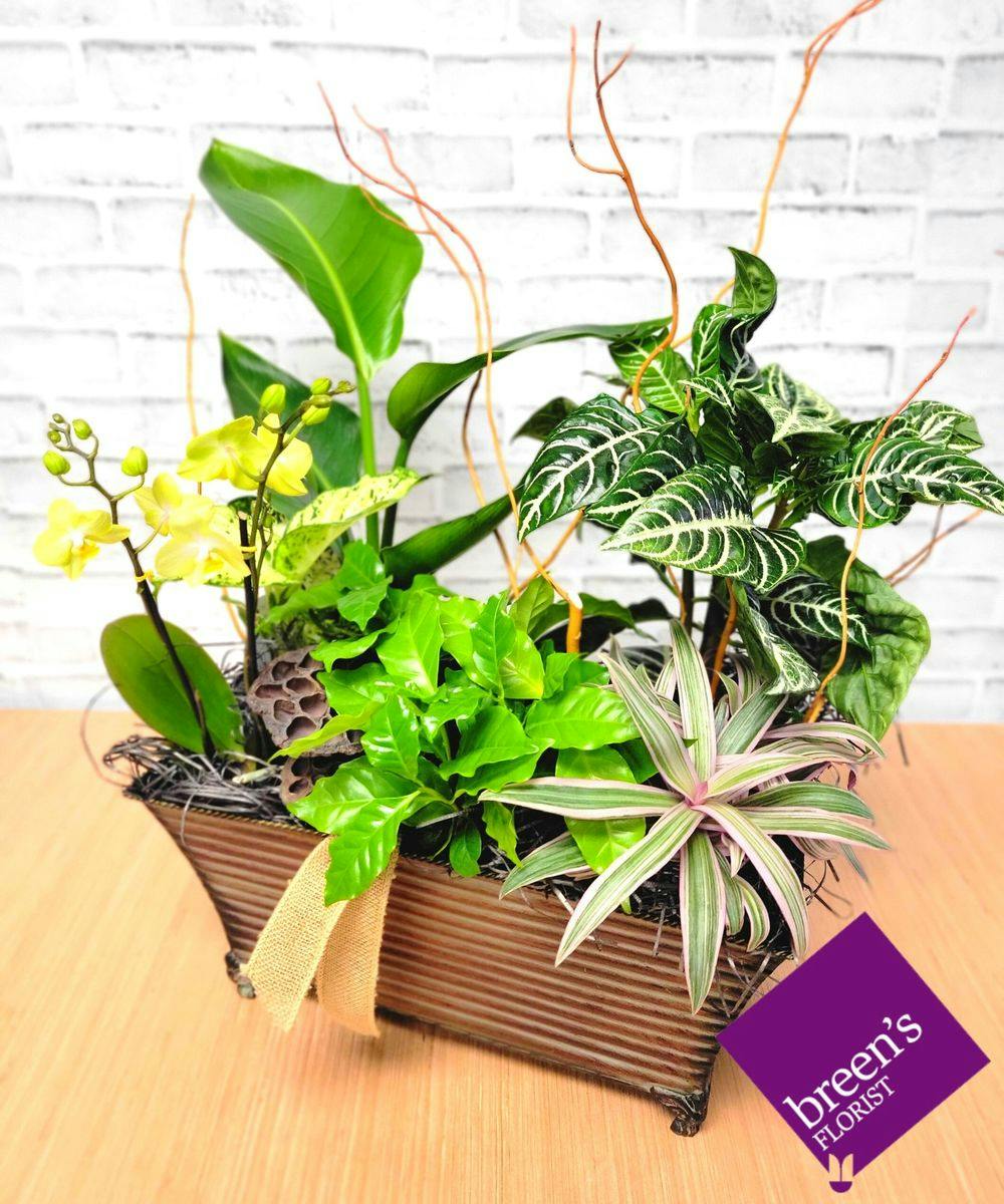 Houston Florist Same Day Flower Delivery Houston Breen's Florist