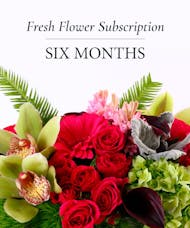 6 MONTHS OF FLOWERS