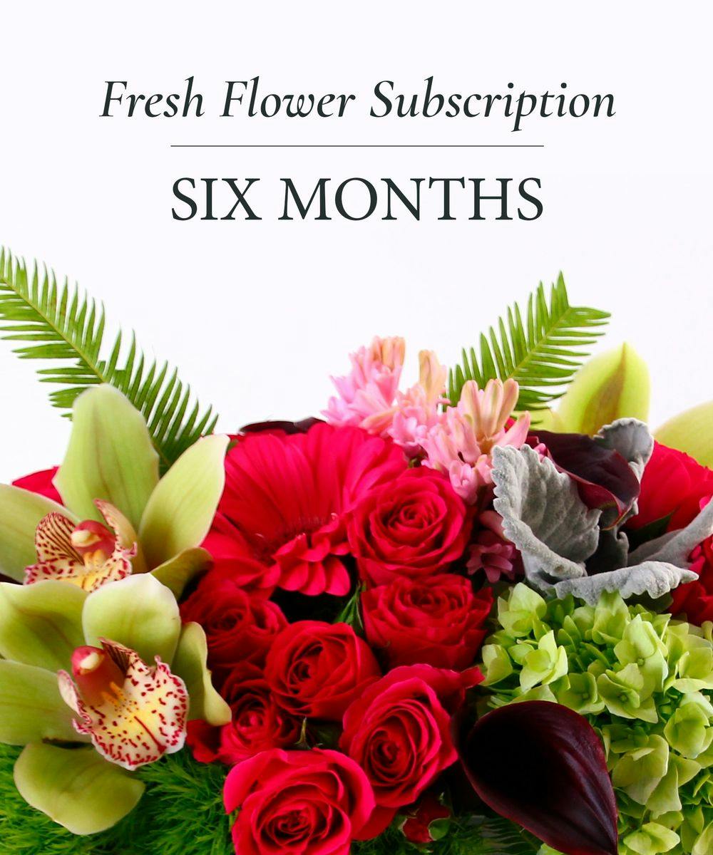 6 MONTHS OF FLOWERS Houston (TX) SameDay Flower Subscriptions