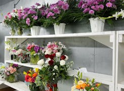 Potted arrangements and bouquets on display in our Houston location